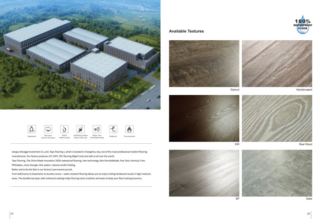 Good Quality Vinyl Flooring (RCB/SPC/LVT+Loose lay/Glue down/Dry back/Click/DIY)
